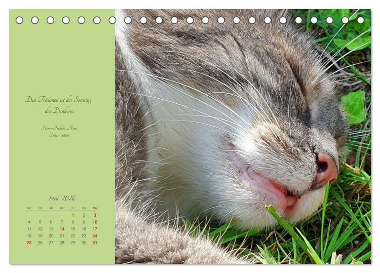 Produktbild: H&auml;ng einfach mal ab (Tischkalender 2026 DIN A5 quer), CALVENDO Monatskalender