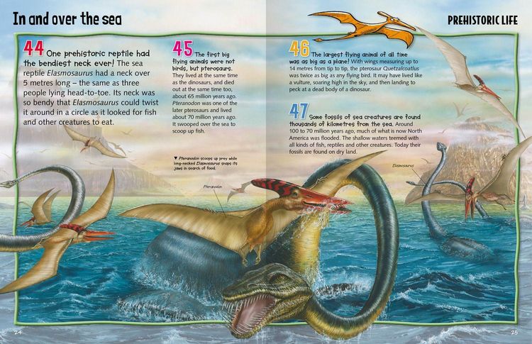 Produktbild: Wild About Dinosaurs