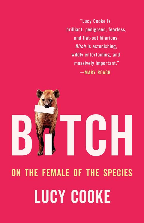 Produktbild: Bitch