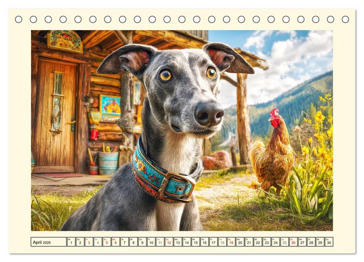 Produktbild: Whippet Wunder. Grazile Hunde mit sanfter Kraft und feiner Seele (Tischkalender 2026 DIN A5 quer), CALVENDO Monatskalender