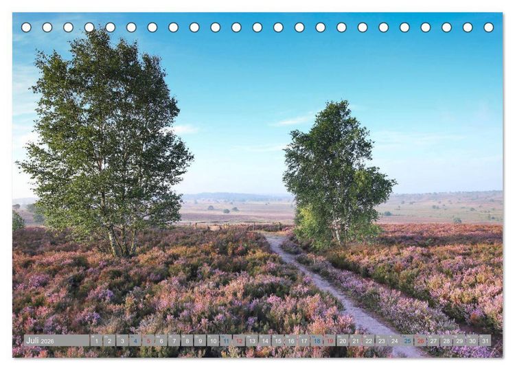 Produktbild: L&uuml;neburger Heide - Faszinierend sch&ouml;n (Tischkalender 2026 DIN A5 quer), CALVENDO Monatskalender