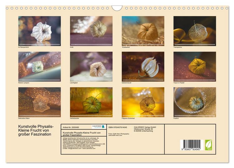 Produktbild: Kunstvolle Physalis-Kleine Frucht von gro&szlig;er Faszination (Wandkalender 2026 DIN A3 quer), CALVENDO Monatskalender