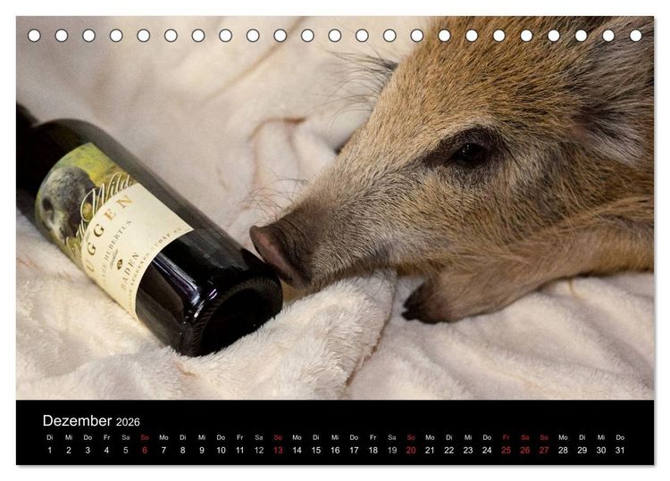 Produktbild: Kleine Schweinereien (Tischkalender 2026 DIN A5 quer), CALVENDO Monatskalender