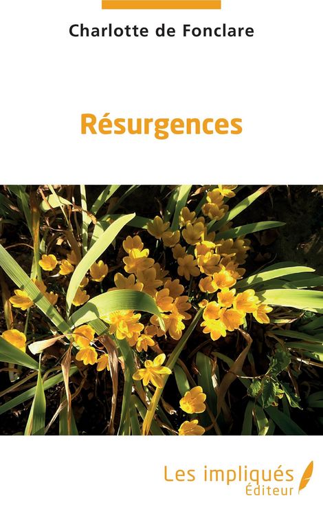 Produktbild: Resurgences