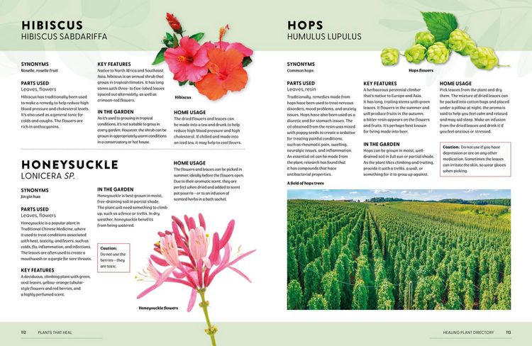 Produktbild: Plants That Heal Hb