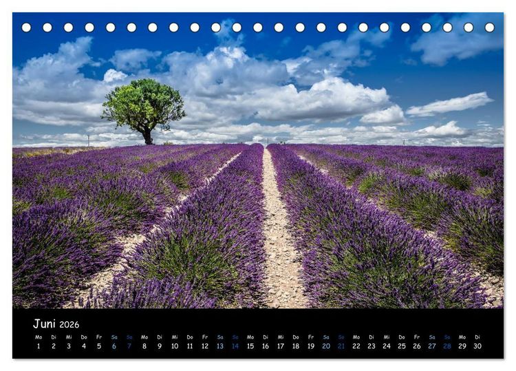 Produktbild: Provence - Lavendelbl&uuml;te (Tischkalender 2026 DIN A5 quer), CALVENDO Monatskalender