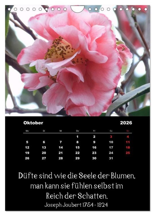 Produktbild: Spr&uuml;che und Zitate ber&uuml;hmter Personen &uuml;ber Blumen und Natur (Wandkalender 2026 DIN A4 hoch), CALVENDO Monatskalender