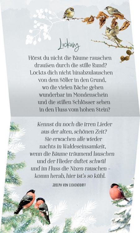 Produktbild: Zauberhafte Weihnachtszeit, Coffee-Table-Adventskal.(Bastin)