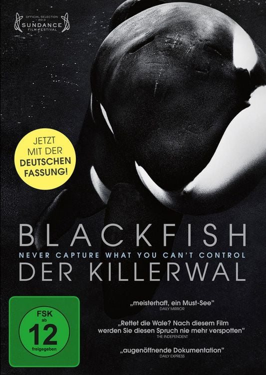 Produktbild: Blackfish - Never cature what you can't control