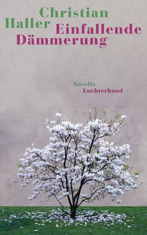 Produktbild: Einfallende D&auml;mmerung
