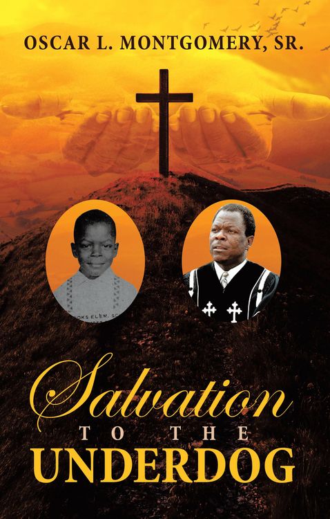 Produktbild: Salvation to the Underdog