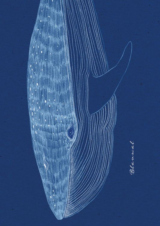 Produktbild: Meer-verliebt "Fische"
