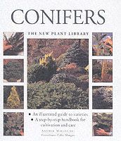 Produktbild: Conifers