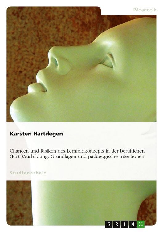 Produktbild: Chancen und Risiken des Lernfeldkonzepts in der beruflichen (Erst-)Ausbildung. Grundlagen und p&auml;dagogische Intentionen