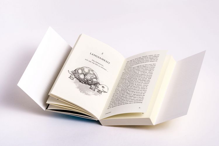 Produktbild: Die 7 Geheimnisse der Schildkr&ouml;te (vollst&auml;ndig aktualisierte und erweiterte Neuausgabe)