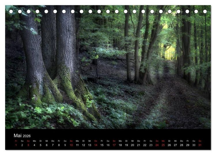 Produktbild: Waldkalender (Tischkalender 2026 DIN A5 quer), CALVENDO Monatskalender