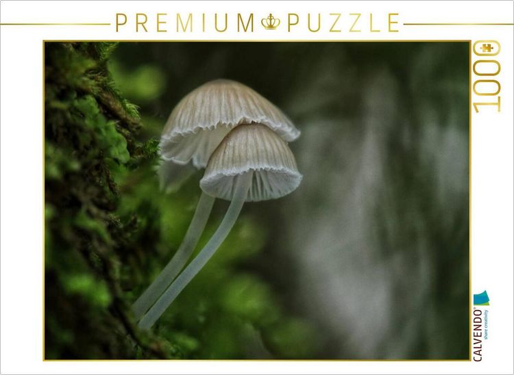 Produktbild: CALVENDO Puzzle Ein Motiv aus dem Kalender Pilze, die stillen Waldbewohner 2019 | 1000 Teile Lege-Gr&ouml;&szlig;e 64x48cm Foto-Puzzle f&uuml;r gl&uuml;ckliche Stunden