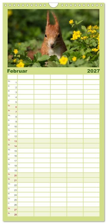 Produktbild: Familienplaner 2027 - Mit dem Eichh&ouml;rnchen durchs Jahr mit 5 Spalten (Wandkalender, 21 x 45 cm) CALVENDO