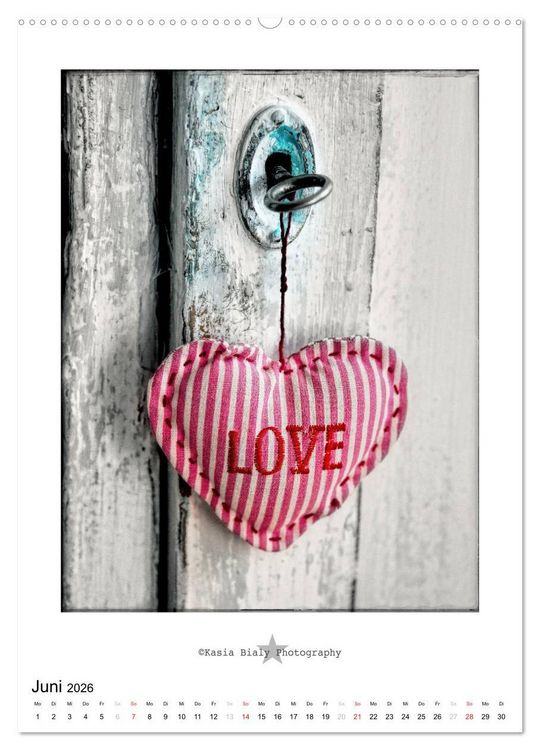 Produktbild: Aus Liebe zum Detail (hochwertiger Premium Wandkalender 2026 DIN A2 hoch), Kunstdruck in Hochglanz