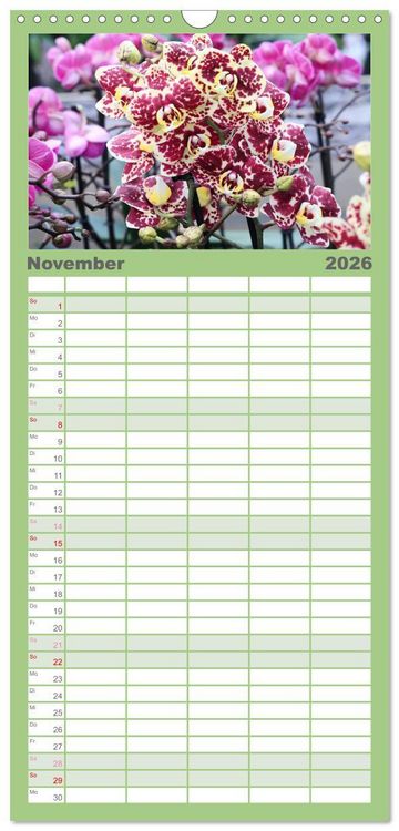 Produktbild: Familienplaner 2026 - Pr&auml;chtige Orchideen mit 5 Spalten (Wandkalender, 21 x 45 cm) CALVENDO