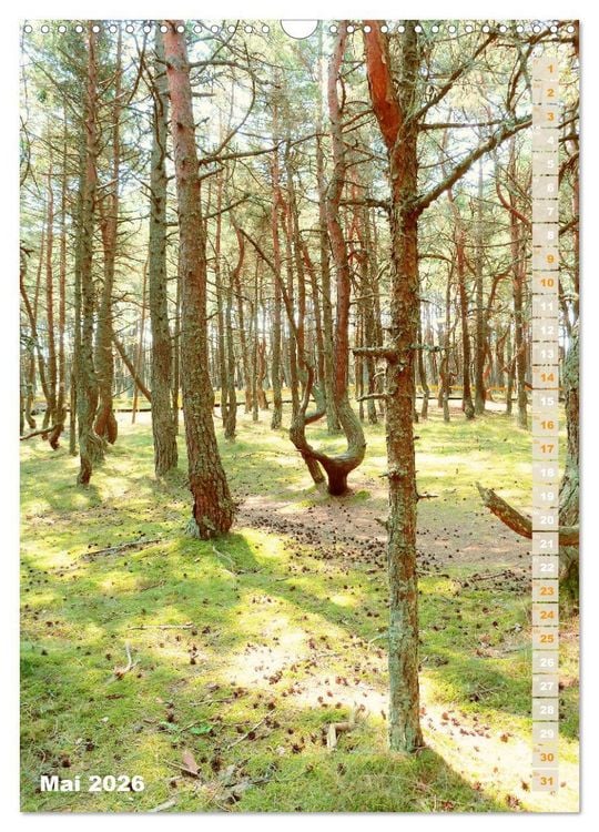 Produktbild: Kurische Nehrung &ndash; Am langen, weichen Ostsee-Strand (Wandkalender 2026 DIN A3 hoch), CALVENDO Monatskalender