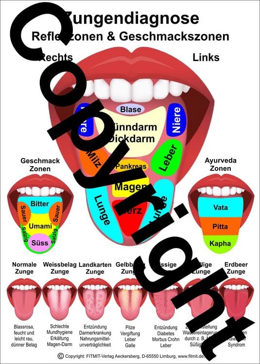 Produktbild: Zungendiagnose