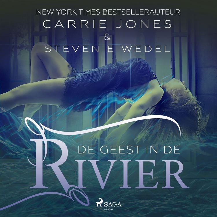 Produktbild: De geest in de rivier