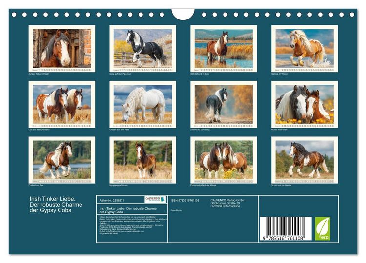 Produktbild: Irish Tinker Liebe. Der robuste Charme der Gypsy Cobs (Wandkalender 2027 DIN A4 quer), CALVENDO Monatskalender