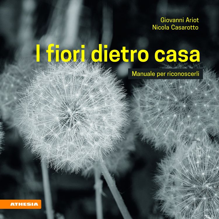Produktbild: I fiori dietro casa