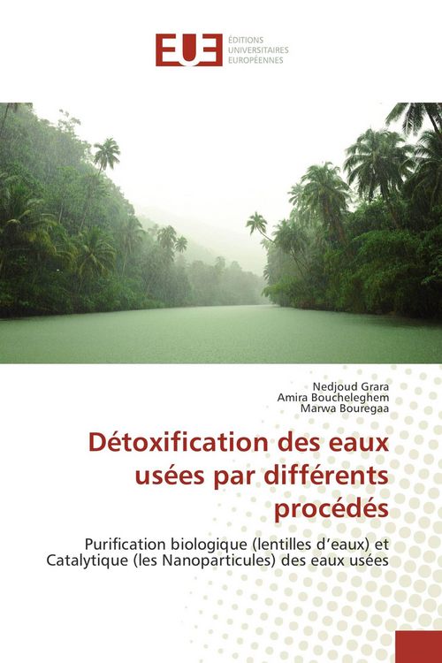 Produktbild: D&eacute;toxification des eaux us&eacute;es par diff&eacute;rents proc&eacute;d&eacute;s