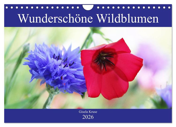 Produktbild: Wundersch&ouml;ne Wildblumen (Wandkalender 2026 DIN A4 quer), CALVENDO Monatskalender
