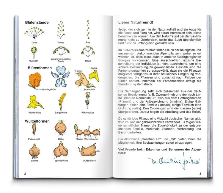 Produktbild: Alpenblumen