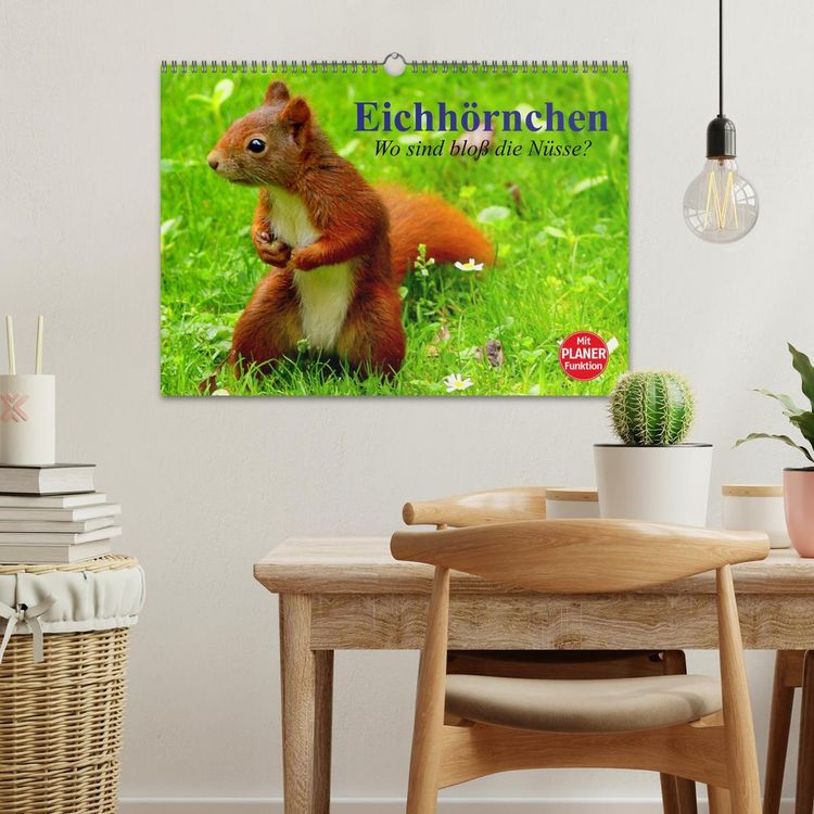 Produktbild: Eichh&ouml;rnchen. Wo sind blo&szlig; die N&uuml;sse? (Wandkalender 2026 DIN A3 quer), CALVENDO Monatskalender