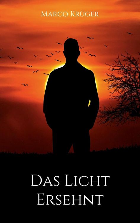 Produktbild: Das Licht ersehnt