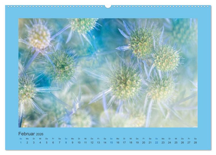 Produktbild: 12 Farben (hochwertiger Premium Wandkalender 2026 DIN A2 quer), Kunstdruck in Hochglanz
