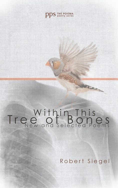 Produktbild: Within This Tree of Bones