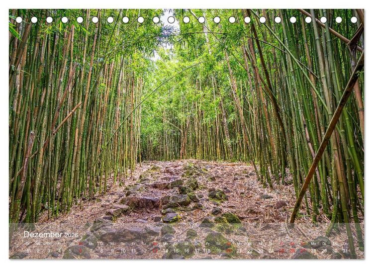 Produktbild: Hawaii - Maui Trauminsel im Pazifik (Tischkalender 2026 DIN A5 quer), CALVENDO Monatskalender