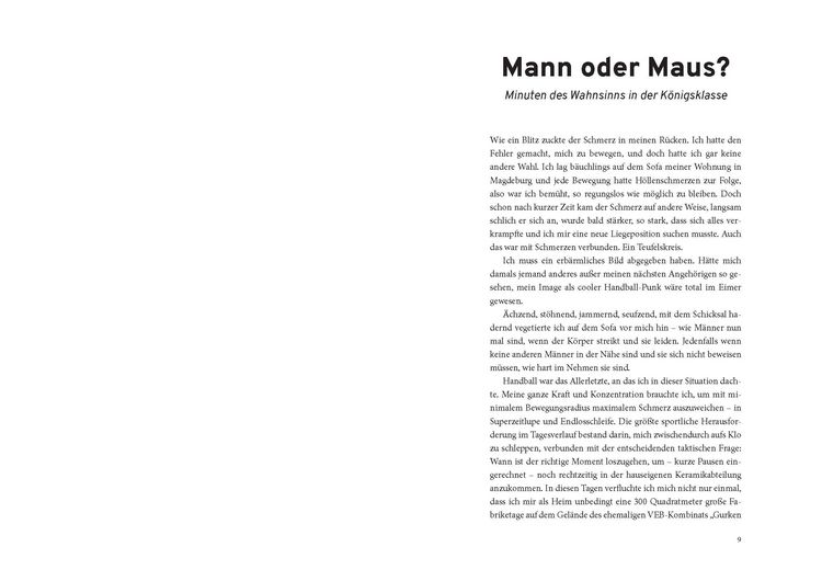 Produktbild: H&ouml;lleluja! Warum Handball der absolute Wahnsinn ist