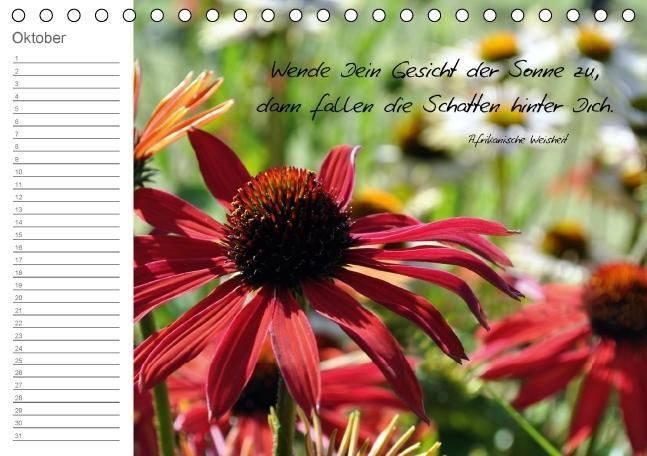 Produktbild: Befl&uuml;gelt (Tischkalender immerw&auml;hrend DIN A5 quer)