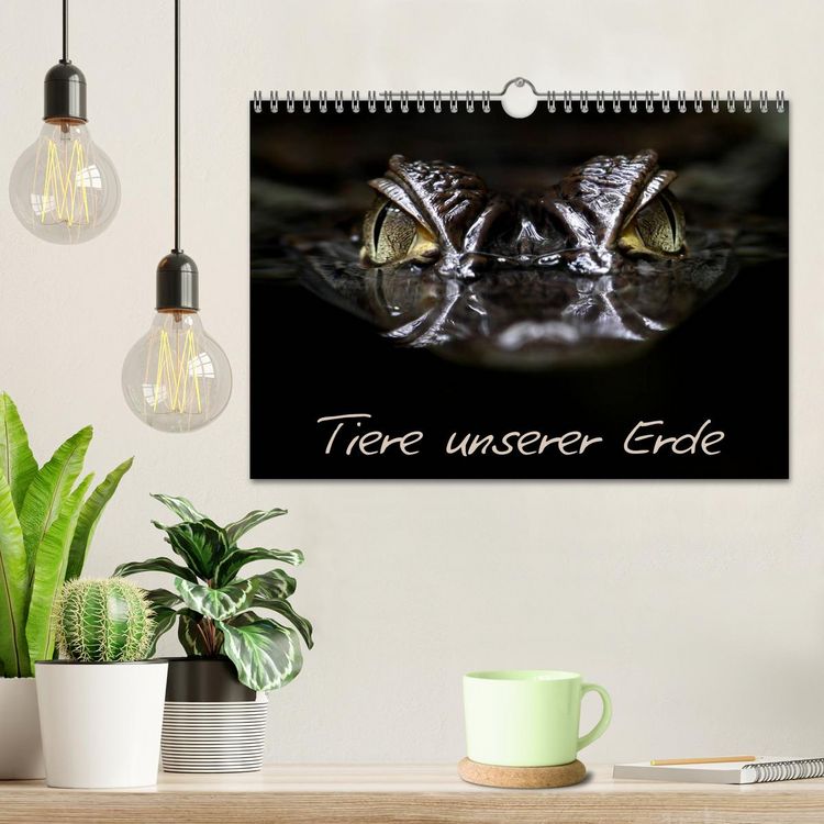 Produktbild: Tiere unserer Erde (Wandkalender 2026 DIN A4 quer), CALVENDO Monatskalender
