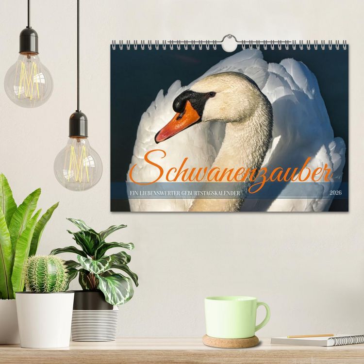 Produktbild: Schwanenzauber (Wandkalender 2026 DIN A4 quer), CALVENDO Monatskalender