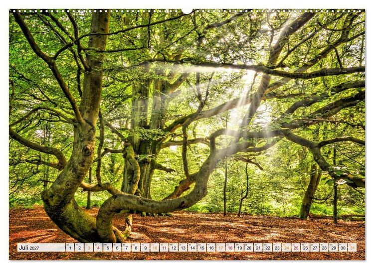 Produktbild: Naturpark Reinhardswald - Wo die Sababurg auf die Weser trifft (Wandkalender 2027 DIN A2 quer), CALVENDO Monatskalender