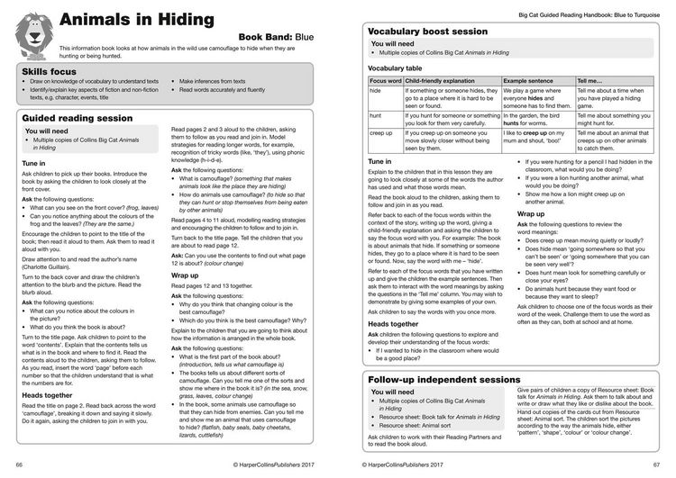 Produktbild: Collins Big Cat - Guided Reading Handbook Yellow to Green