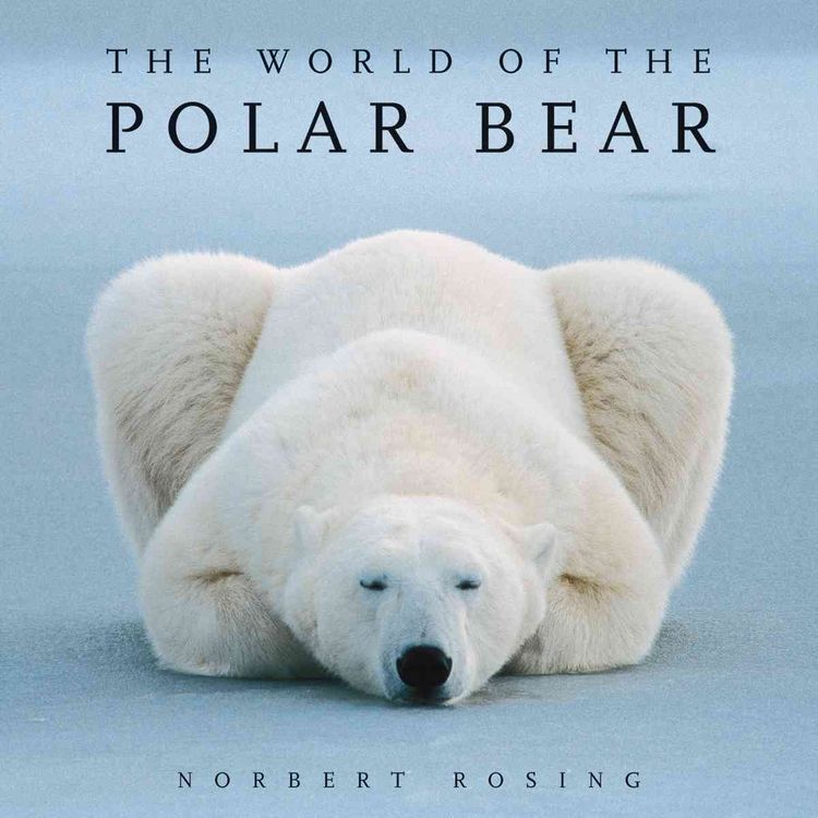 Produktbild: The World of the Polar Bear