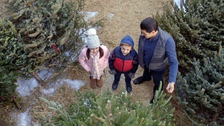 Produktbild: Ein Nachbar zu Weihnachten