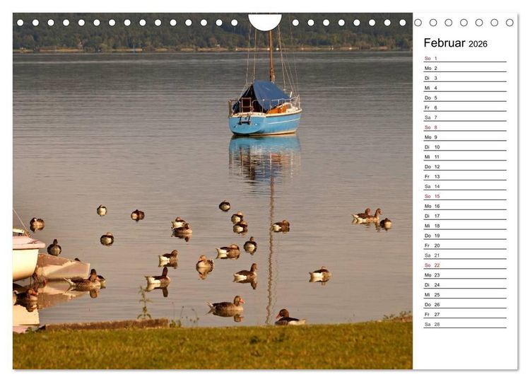 Produktbild: Seest&auml;rke - Der Ammersee (Wandkalender 2026 DIN A4 quer), CALVENDO Monatskalender
