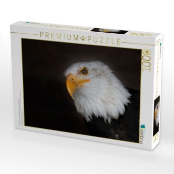 Produktbild: CALVENDO Puzzle Ein Motiv aus dem Kalender Greifv&ouml;gel und Eulen | 1000 Teile Lege-Gr&ouml;&szlig;e 64x48cm Foto-Puzzle f&uuml;r gl&uuml;ckliche Stunden