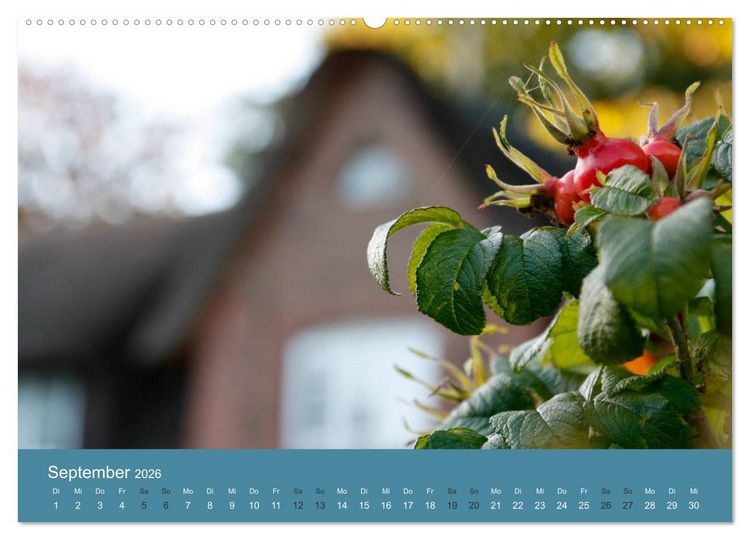 Produktbild: F&ouml;hr 2026. Portr&auml;t einer Insel (Wandkalender 2026 DIN A2 quer), CALVENDO Monatskalender