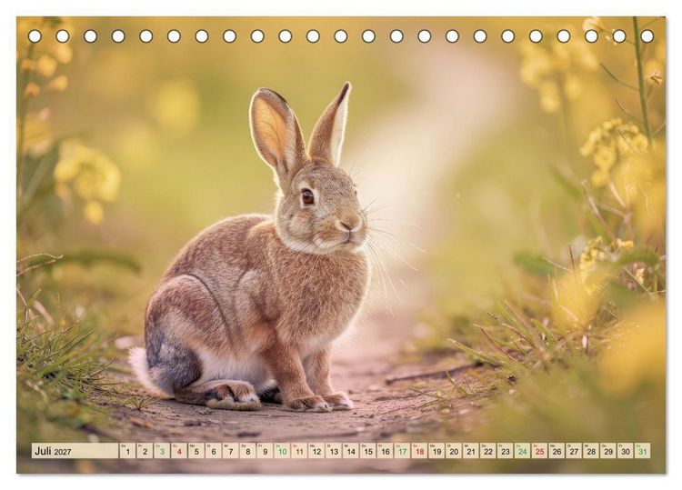 Produktbild: Zwischen den Feldern (Tischkalender 2027 DIN A5 quer), CALVENDO Monatskalender