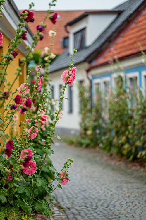 Produktbild: Sk&aring;ne